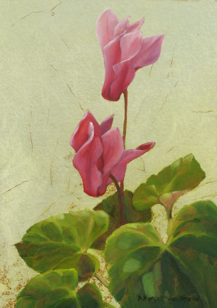 Cyclamen
