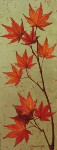 Fall: Japanese Maple (with gold leaf)