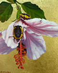 Feast  (Beetles on Hibiscus with gold leaf)