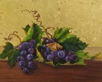 Grapes and Moth