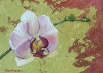 Orchid (with gold leaf)