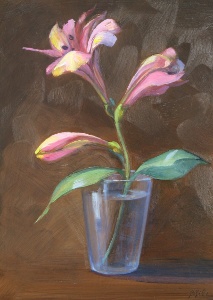 Peruvian Lily II