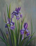 Plein Air Irises