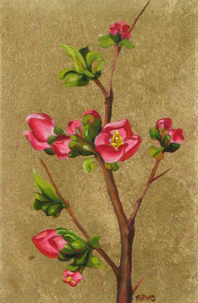 Quince Study
