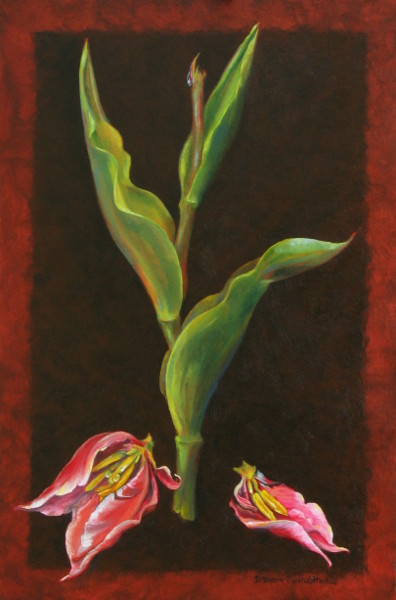 Tulip Deflowered