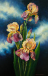 Twilight Irises