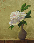 White Peony in Vase