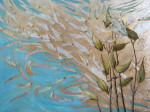 Windblown Milkweed