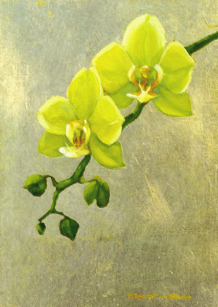 Yellow Orchids
