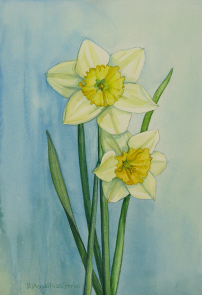 Study for Daffodil Couple