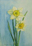Study for Daffodil Couple