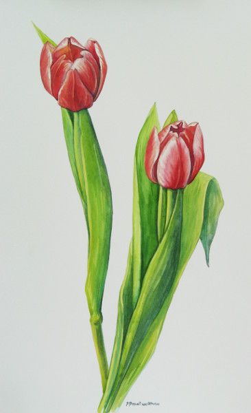 Tulip Couple
