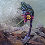 Blue Cohosh in Early Spring