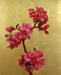 Cherry Blossoms