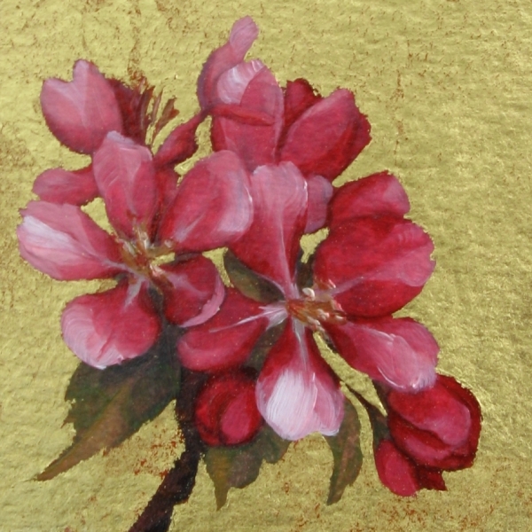 Cherry Blossoms