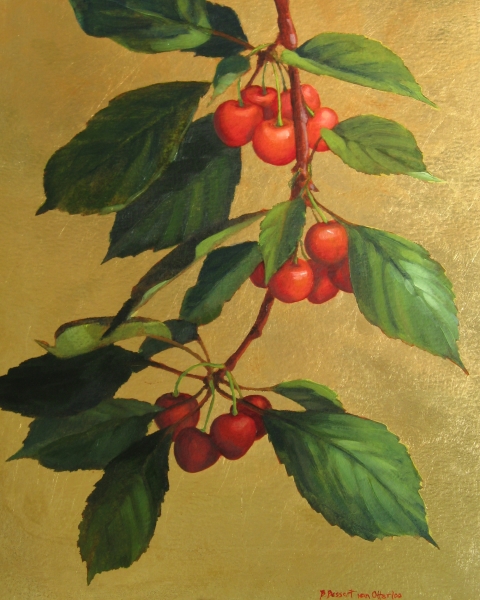 Cherry Branch