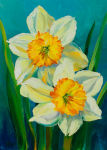 Daffodil Couple