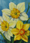 Daffodil Trio