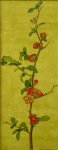 Flowering Quince