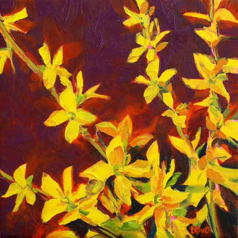 Forsythia