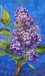 Lilac Study