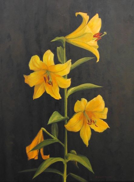 Mary's Lillies