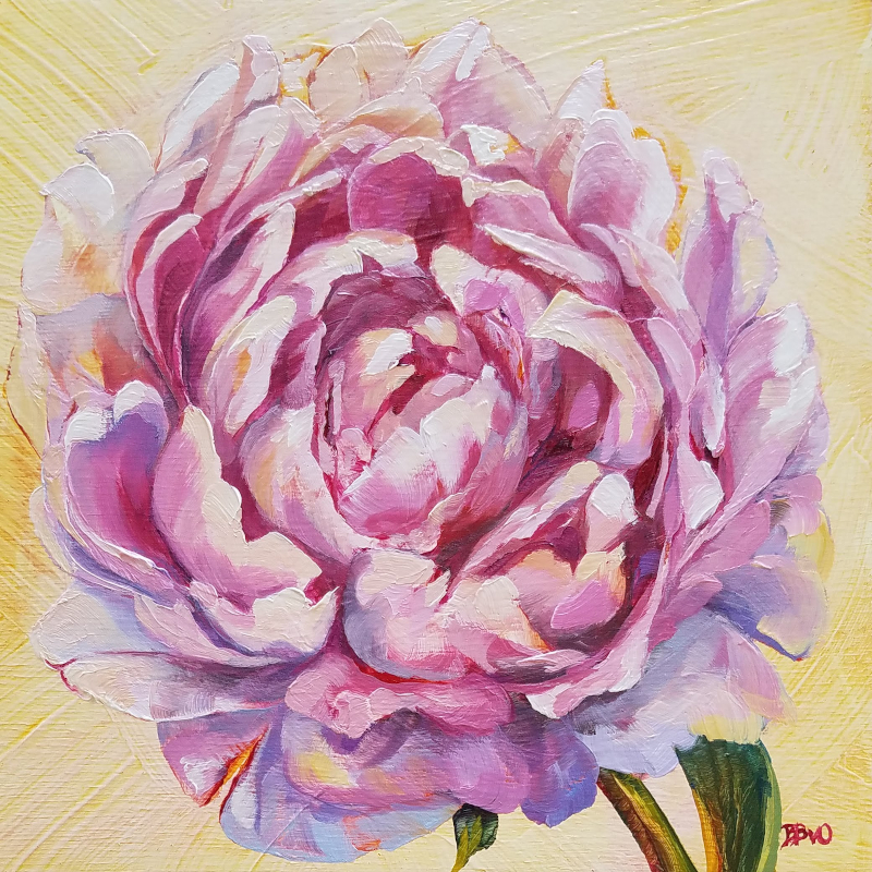 Pink Peony