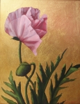 Pink Poppy on Gold