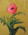 Poppy on Gold