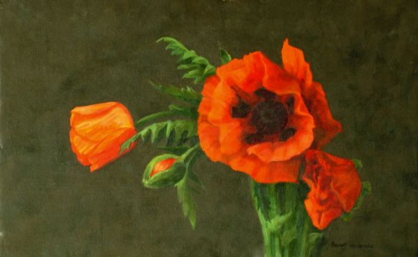 Red Poppies