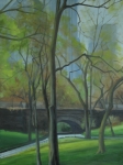Spring in Central Park