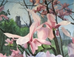 Central Park Magnolias